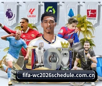 2026世界杯最安全合法的体育买球平台 APP