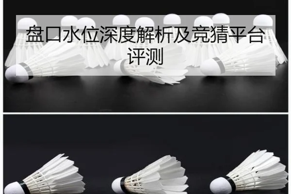 盘口水位深度解析及竞猜平台评测