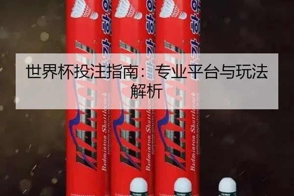 世界杯投注指南：专业平台与玩法解析